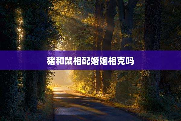 猪和鼠相配婚姻相克吗