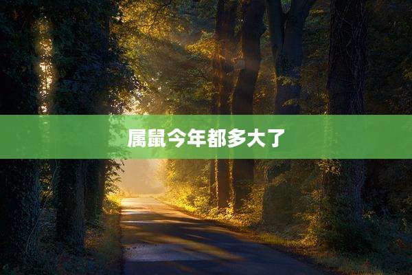 属鼠今年都多大了