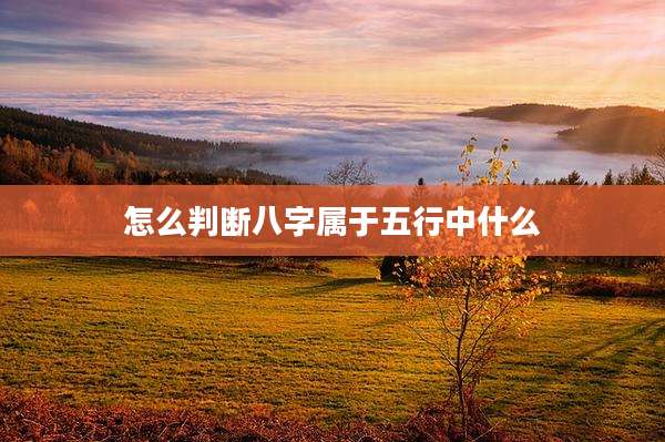 怎么判断八字属于五行中什么