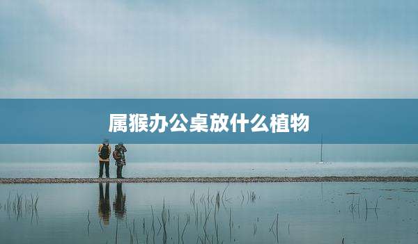 属猴办公桌放什么植物