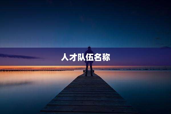人才队伍名称