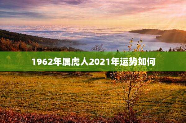 1962年属虎人2021年运势如何