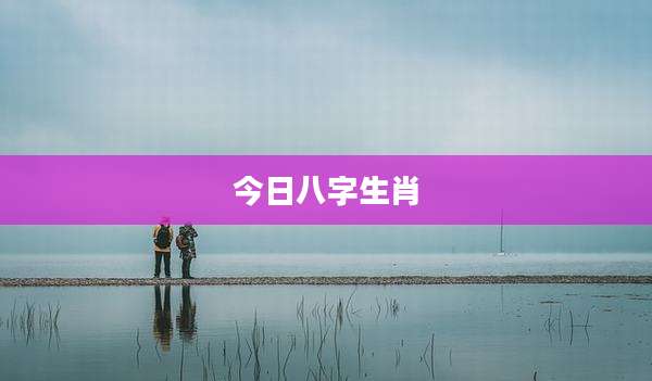 今日八字生肖