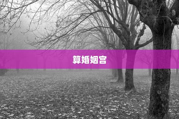 算婚姻宫