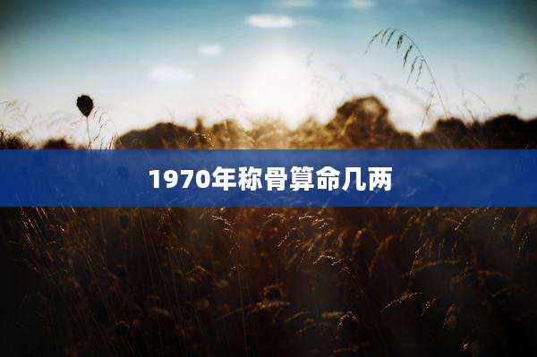 1970年称骨算命几两