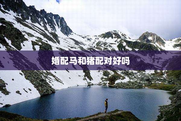 婚配马和猪配对好吗