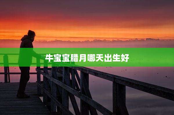 牛宝宝腊月哪天出生好