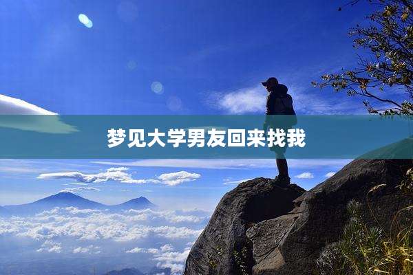 梦见大学男友回来找我