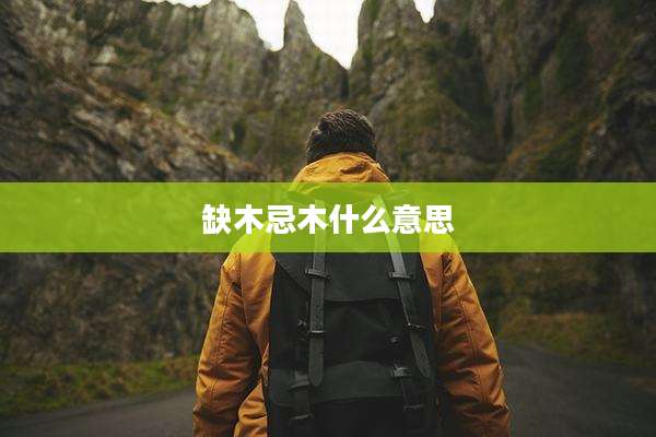缺木忌木什么意思