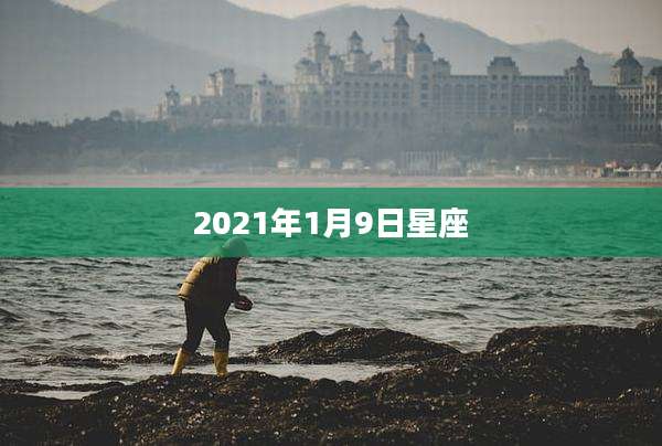 2021年1月9日星座
