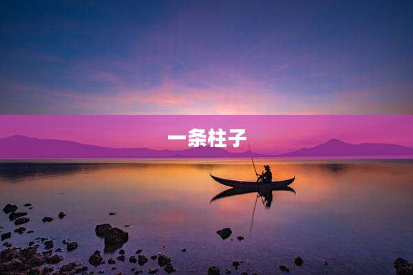 一条柱子