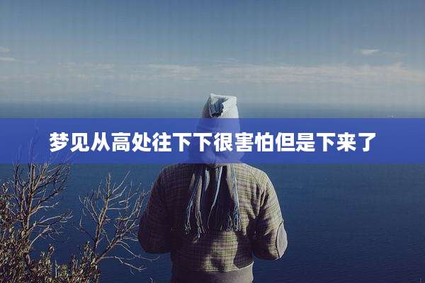 梦见从高处往下下很害怕但是下来了
