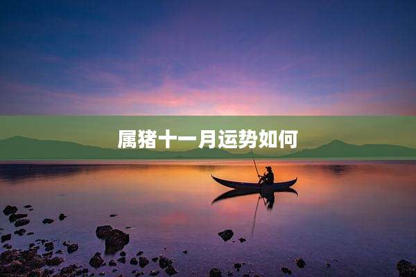 属猪十一月运势如何