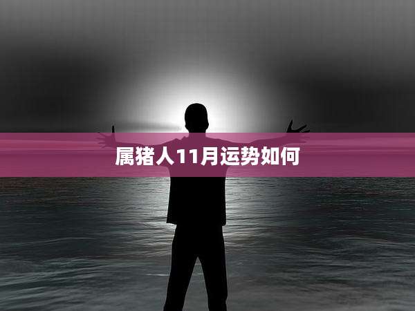 属猪人11月运势如何
