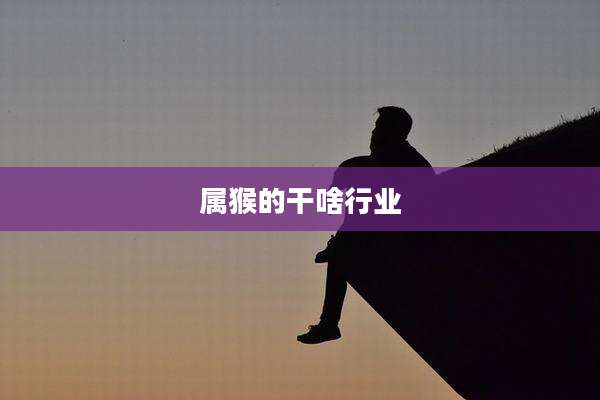 属猴的干啥行业