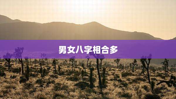 男女八字相合多