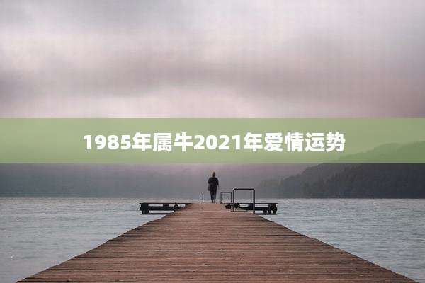 1985年属牛2021年爱情运势