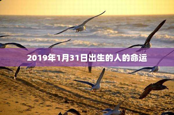 2019年1月31日出生的人的命运