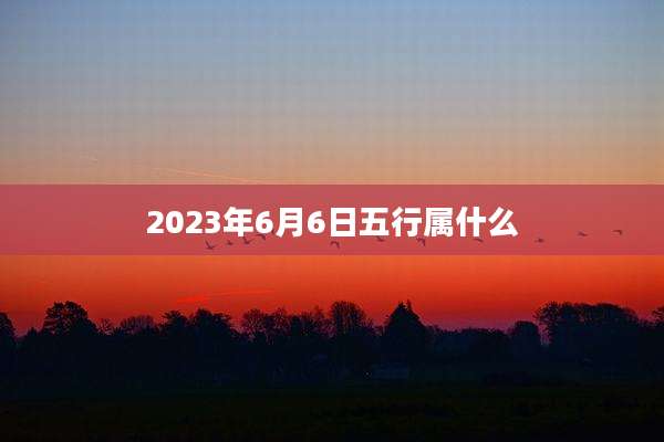 2023年6月6日五行属什么
