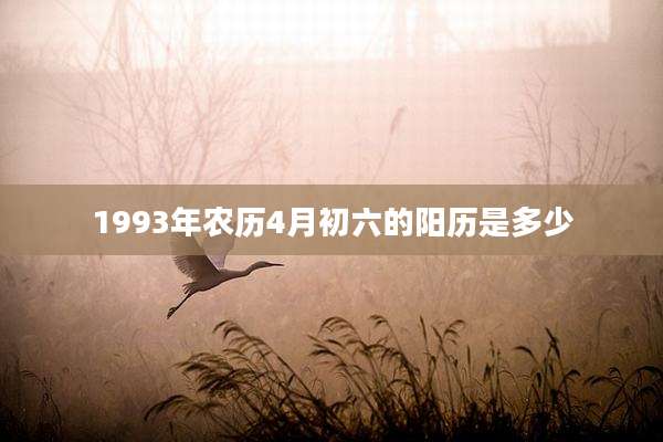 1993年农历4月初六的阳历是多少