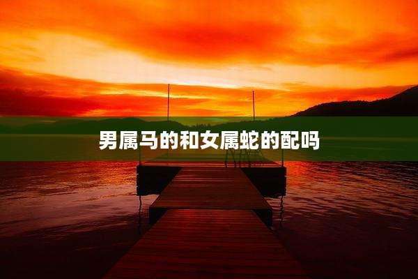 男属马的和女属蛇的配吗