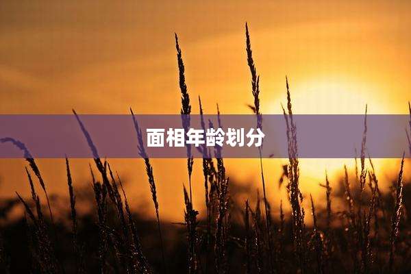 面相年龄划分