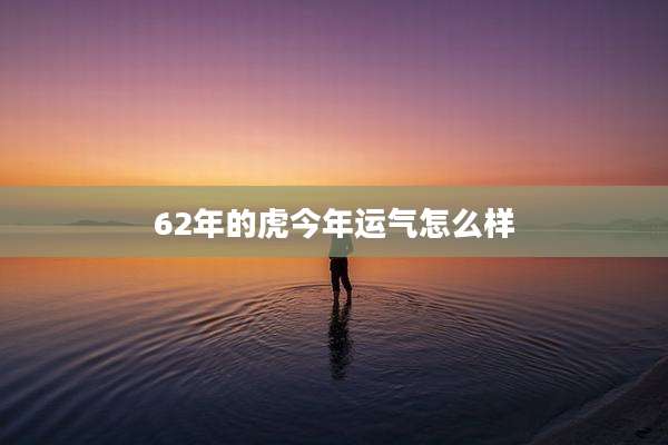 62年的虎今年运气怎么样