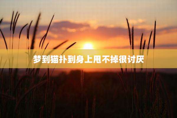 梦到猫扑到身上甩不掉很讨厌