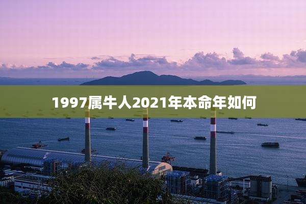 1997属牛人2021年本命年如何
