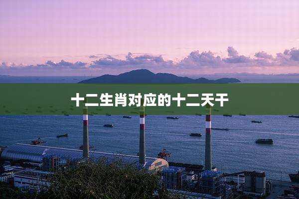 十二生肖对应的十二天干