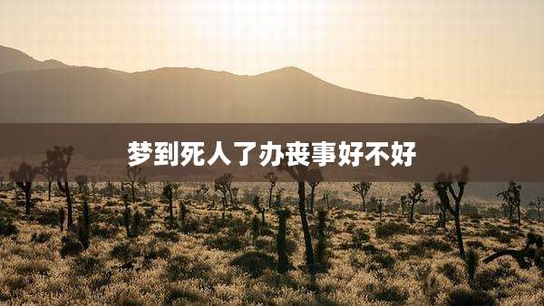 梦到死人了办丧事好不好