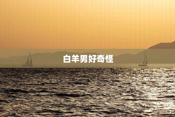 白羊男好奇怪