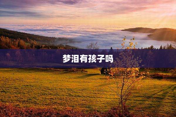 梦泪有孩子吗