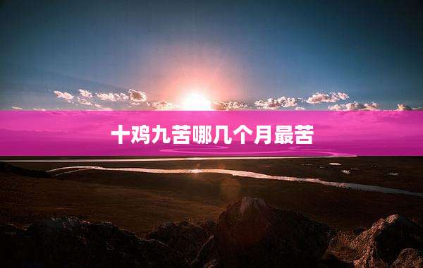 十鸡九苦哪几个月最苦