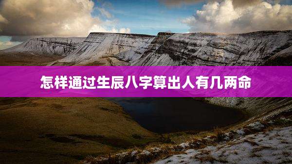 怎样通过生辰八字算出人有几两命