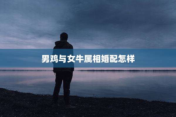 男鸡与女牛属相婚配怎样