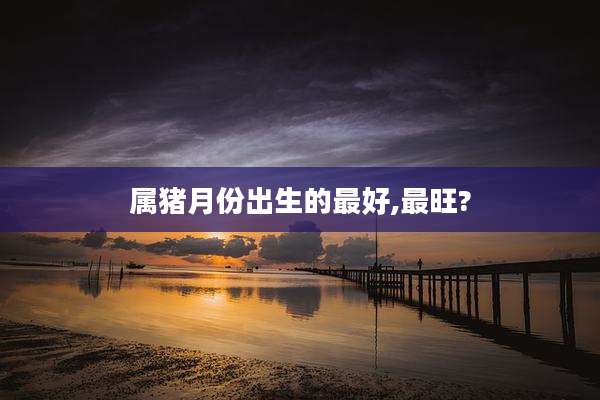 属猪月份出生的最好,最旺?