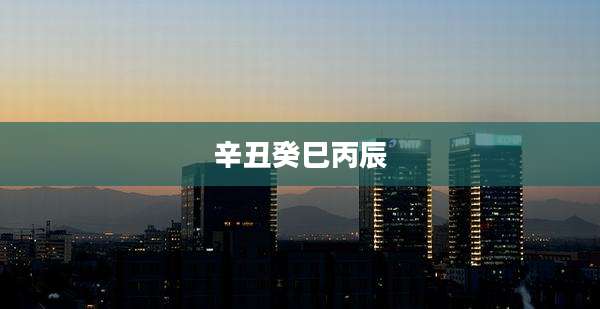 辛丑癸巳丙辰