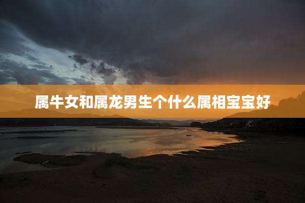 属牛女和属龙男生个什么属相宝宝好