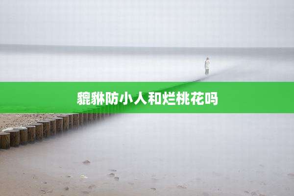 貔貅防小人和烂桃花吗