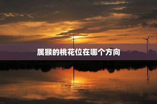 属猴的桃花位在哪个方向