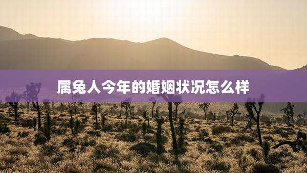 属兔人今年的婚姻状况怎么样