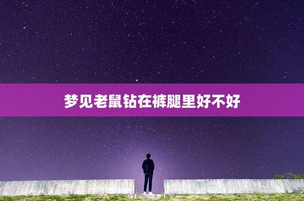 梦见老鼠钻在裤腿里好不好
