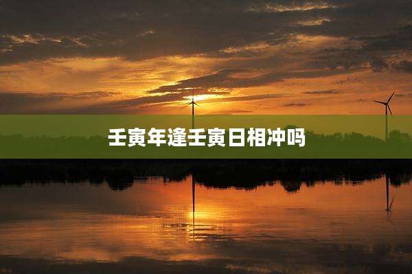 壬寅年逢壬寅日相冲吗
