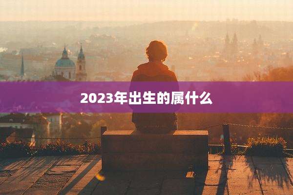 2023年出生的属什么