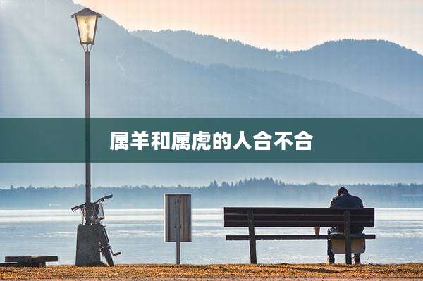 属羊和属虎的人合不合
