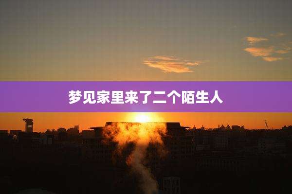 梦见家里来了二个陌生人