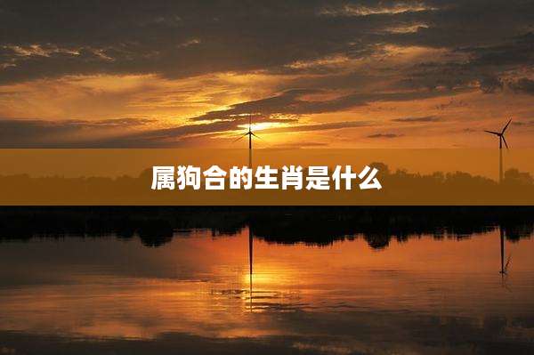 属狗合的生肖是什么