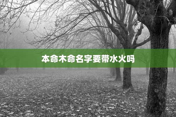 本命木命名字要带水火吗