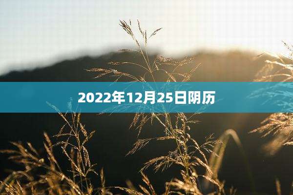 2022年12月25日阴历